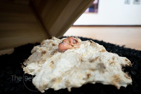Faculty_Exhibition_Gallery_-063