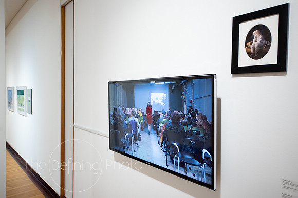 Faculty_Exhibition_Gallery_-075