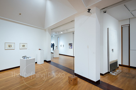 Faculty_Exhibition_Gallery_-047