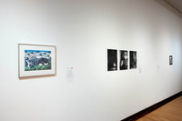 Goldfarb_Gallery_-04