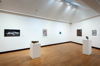 Goldfarb_Gallery_-19