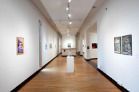 Goldfarb_Gallery_-01
