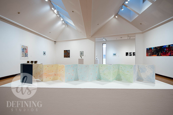 Goldfarb_Gallery_-15