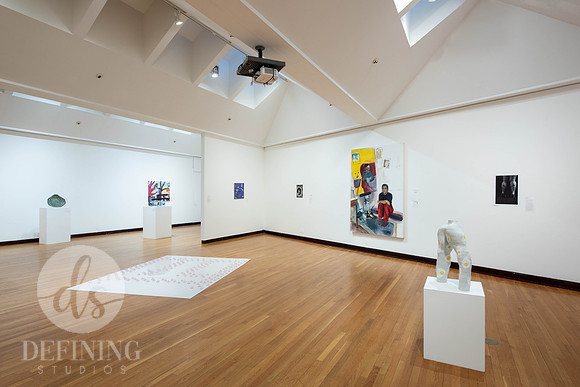 Goldfarb_Gallery_-24