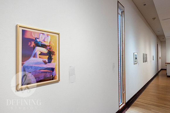 Goldfarb_Gallery_-03