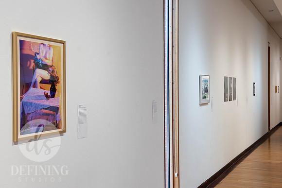 Goldfarb_Gallery_-53