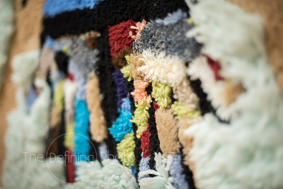 Every Fiber_026