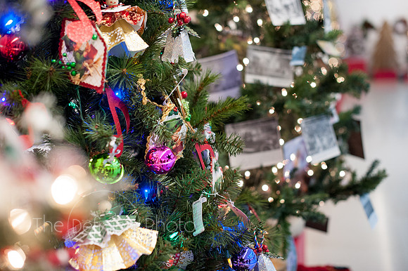 Festival_Of_Trees_114