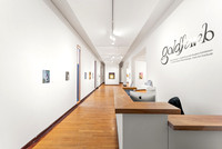 01-29-26 Goldfarb Exhibit