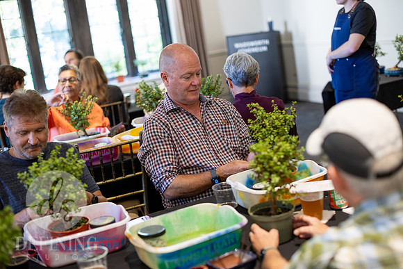Bonsai_and_Brew_048