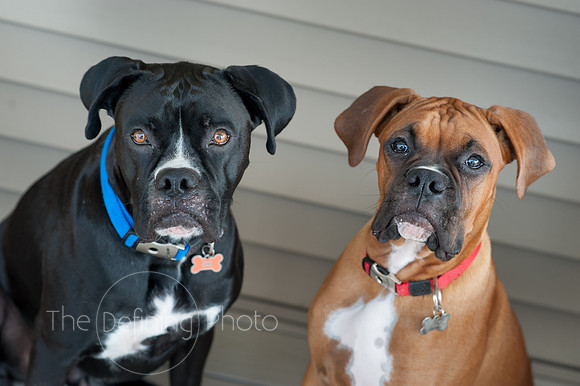 Amy_&_John_044