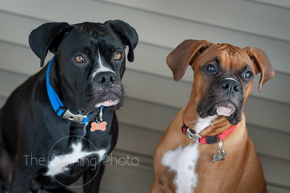 Amy_&_John_045