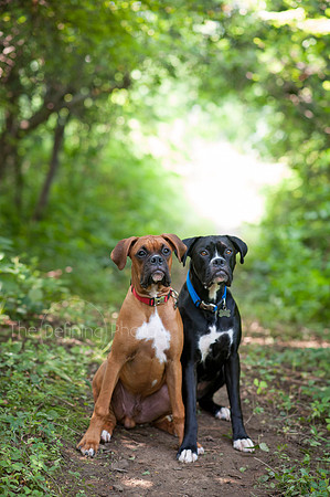 Amy_&_John_053