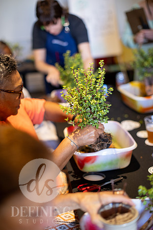 Bonsai_and_Brew_103