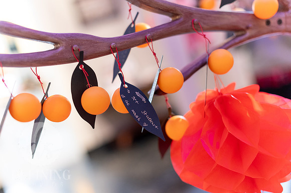 NHM_LunarFest_2026-016