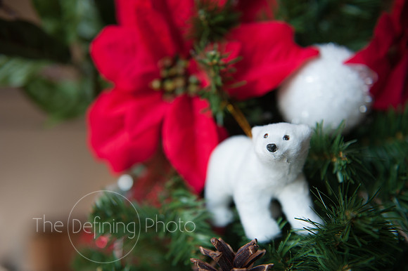 Womans_Committee_Tree_Decorationg_17