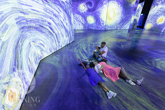 Beyond_Monet-VanGogh-PROOFS-144