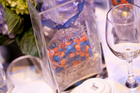 Bushnell_Annual_Meeting_008