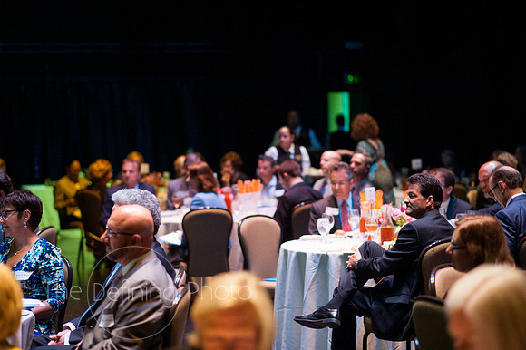 2015_Annual_Meeting_036