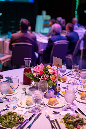 Bushnell_Annual_Meeting_057