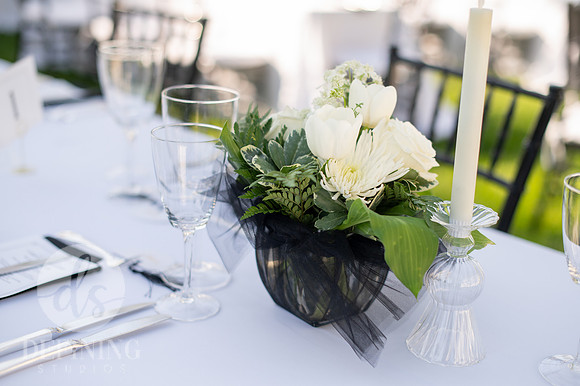 Hill-Stead's Gala_005