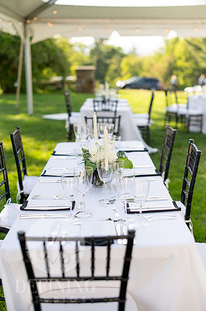Hill-Stead's Gala_006