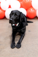 UHart_Commencement_GD-005