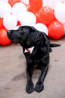 UHart_Commencement_GD-003