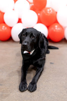 UHart_Commencement_GD-006