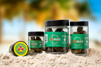 Jars_On_Sand_Groups-04