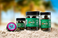 Jars_On_Sand_Groups-02