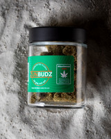 Jars_Laying_Sand-01