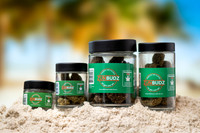 Jars_On_Sand_Groups-01