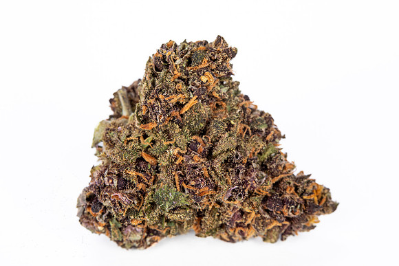 Buds_Macro_White-1
