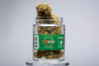 Jars_Buds_Out-02
