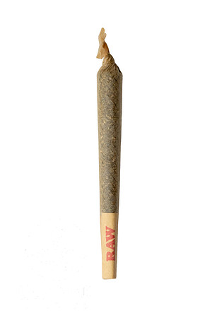 Joint-01