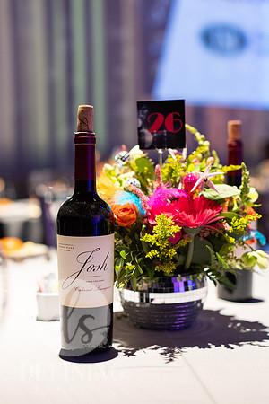 Warner_Theatre_Gala-007