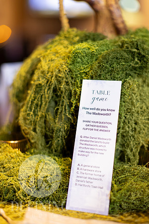 Wadsworth_Gala_020