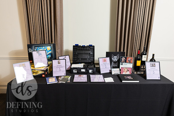Wadsworth_Gala_059