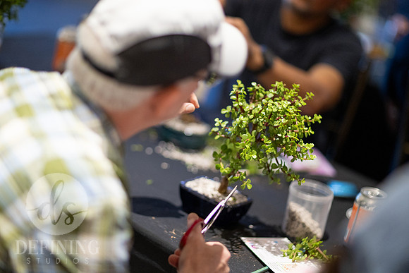 Bonsai_and_Brew_137