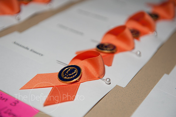 SON_Pinning__001