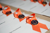 SON_Pinning__002