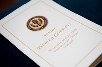 SON_Pinning__003