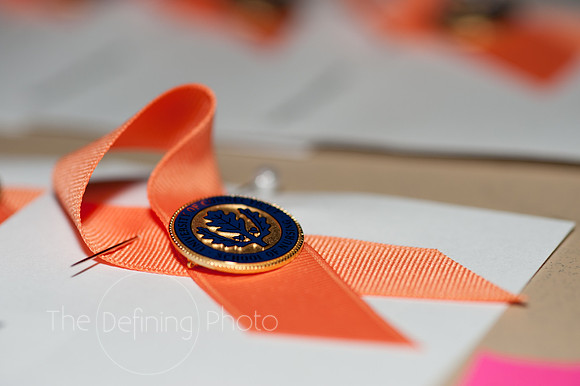 SON_Pinning__004