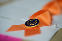 SON_Pinning__005