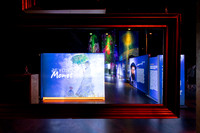 Beyond_Monet-VanGogh-PROOFS-006