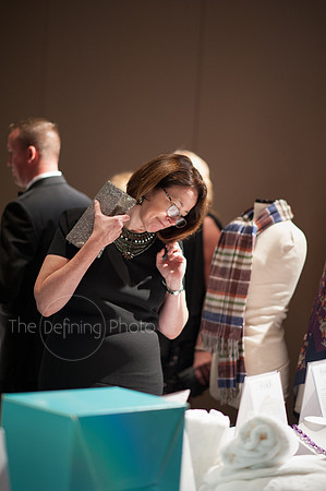 Splendor_Gala_232