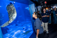 Deaf_Day_Aquarium-012