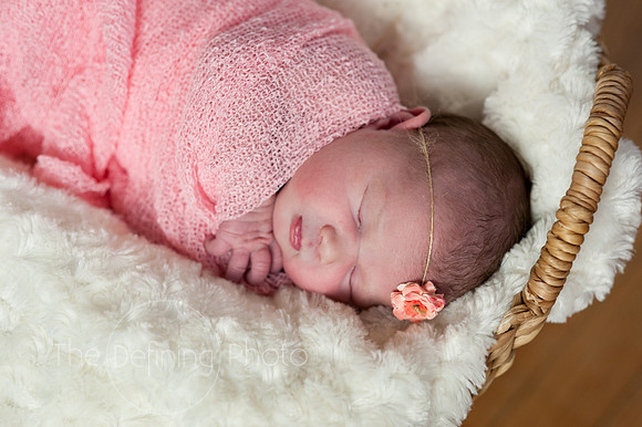 Harper_NB_03