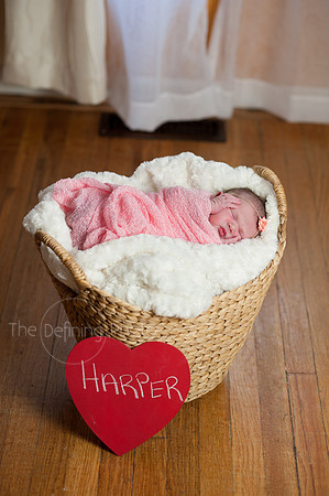Harper_NB_22
